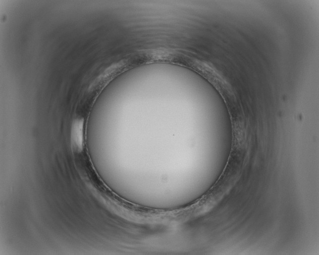X0000086340028200703301307