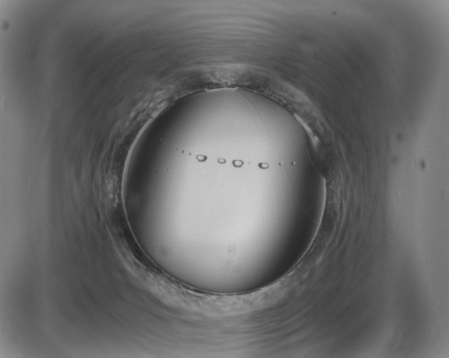 X0000086340031200703301307