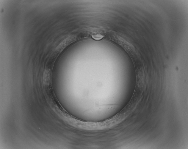 X0000086340034200703301307