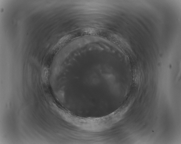 X0000086340036200703301307