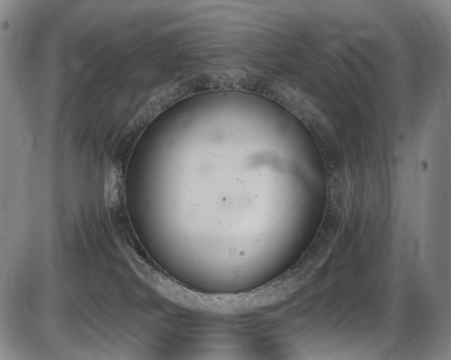 X0000086340038200703301307