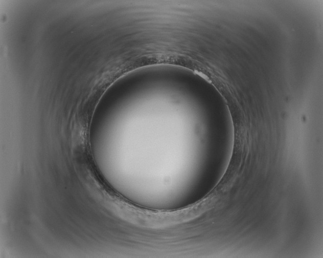 X0000086340039200703301307
