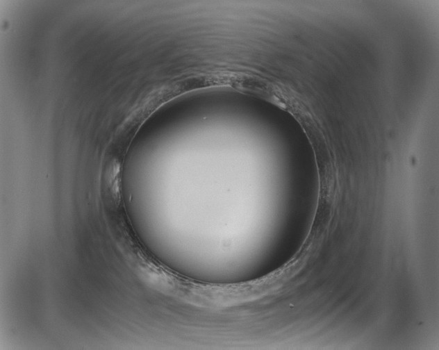 X0000086340041200703301307