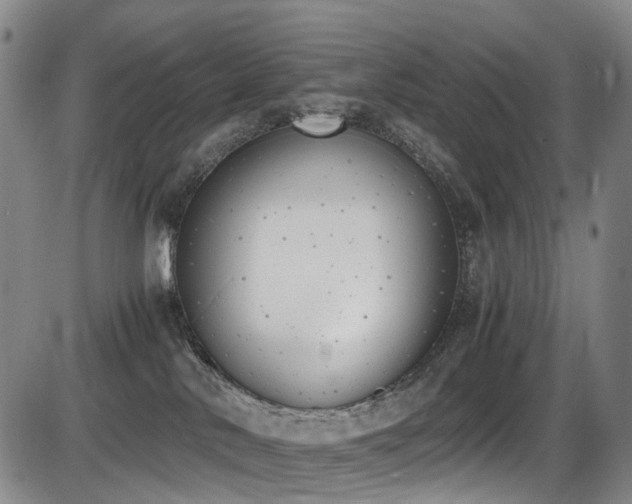 X0000086340042200703301307