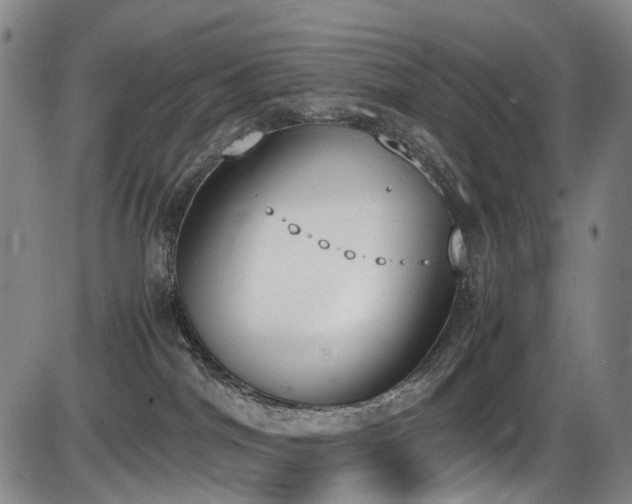 X0000086340044200703301307