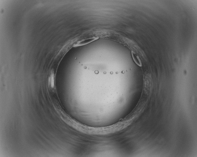X0000086340046200703301307