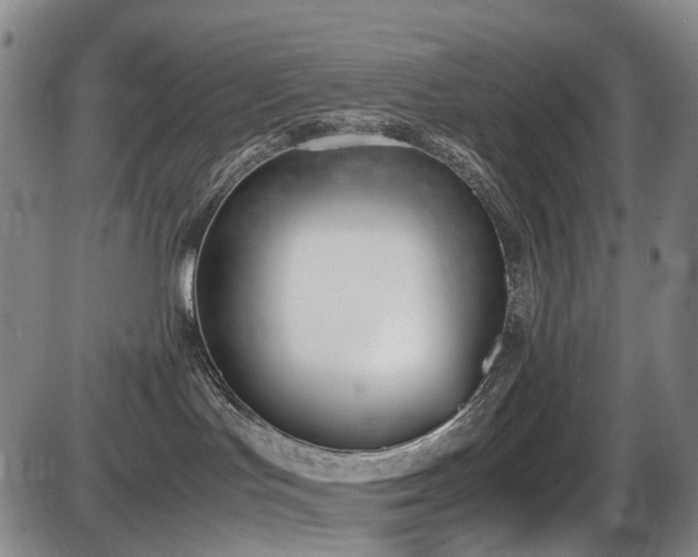 X0000086340047200703301307