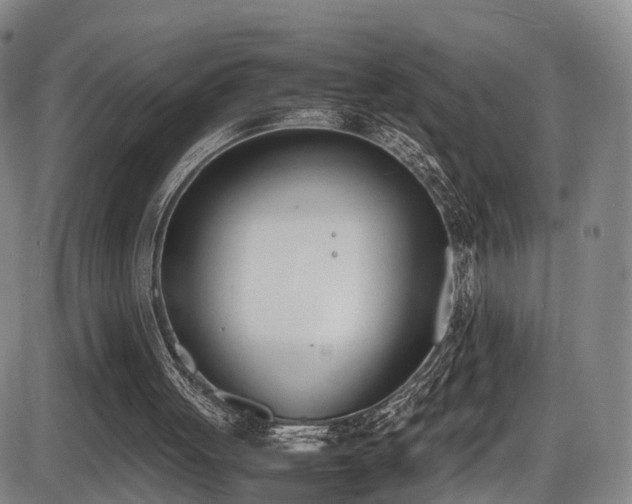 X0000086340051200703301306