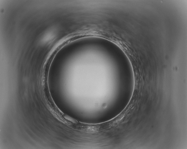 X0000086340056200703301306