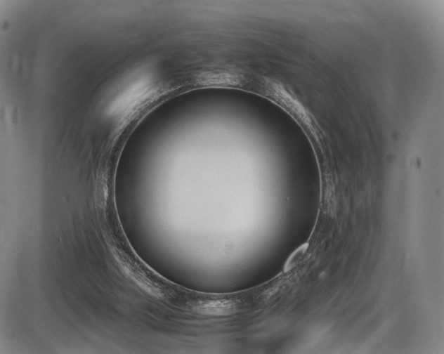 X0000086340059200703301306