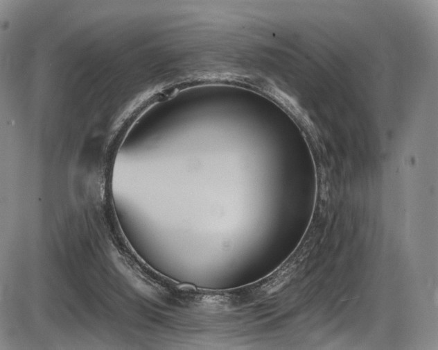 X0000086340060200703301306
