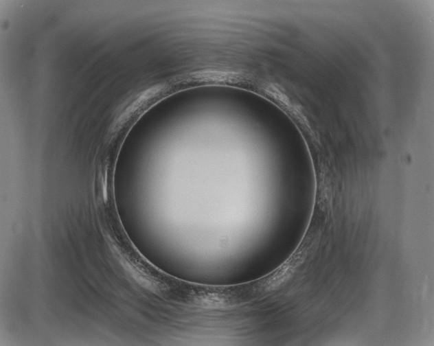 X0000086340062200703301306