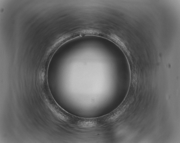 X0000086340063200703301306