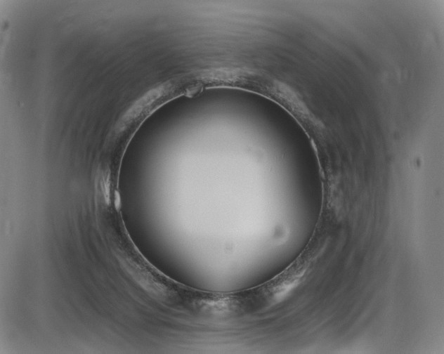 X0000086340068200703301306