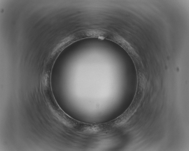 X0000086340071200703301306