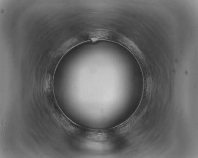 X0000086340073200703301306