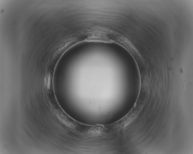 X0000086340076200703301306