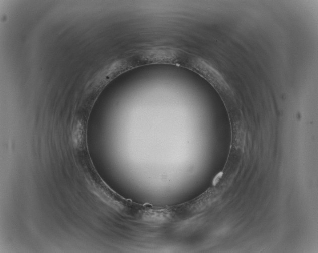 X0000086340077200703301306
