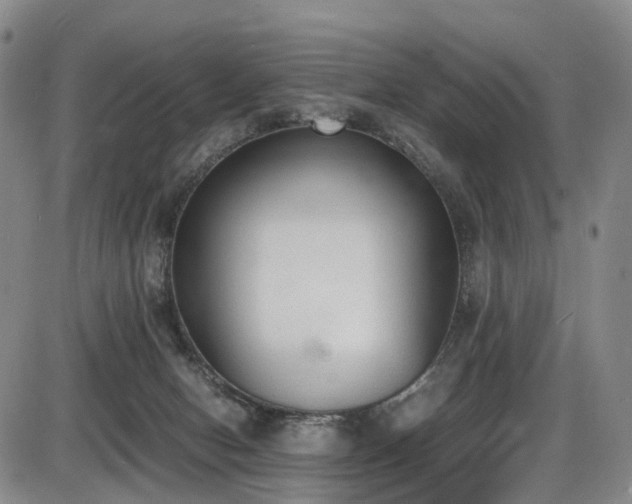 X0000086340078200703301306