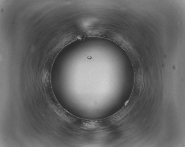 X0000086340079200703301306