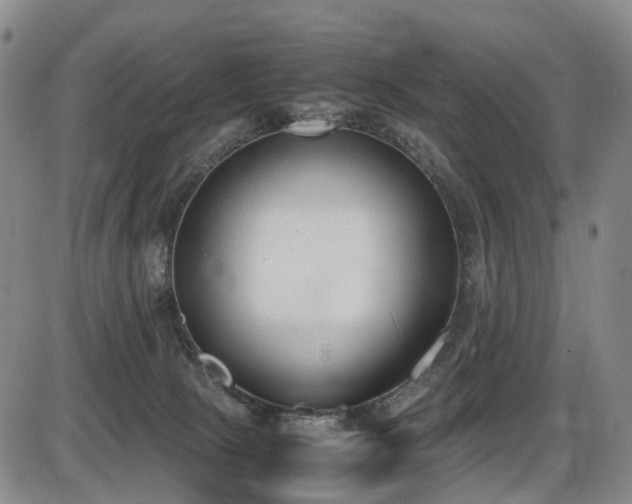 X0000086340081200703301306