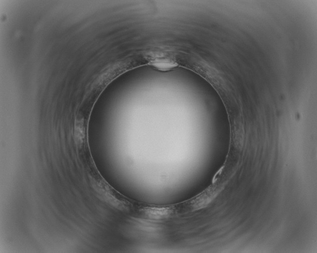 X0000086340085200703301306
