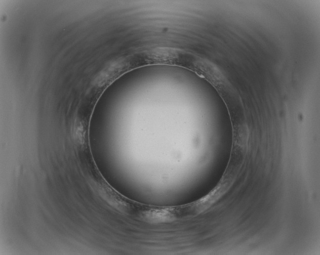X0000086340086200703301306