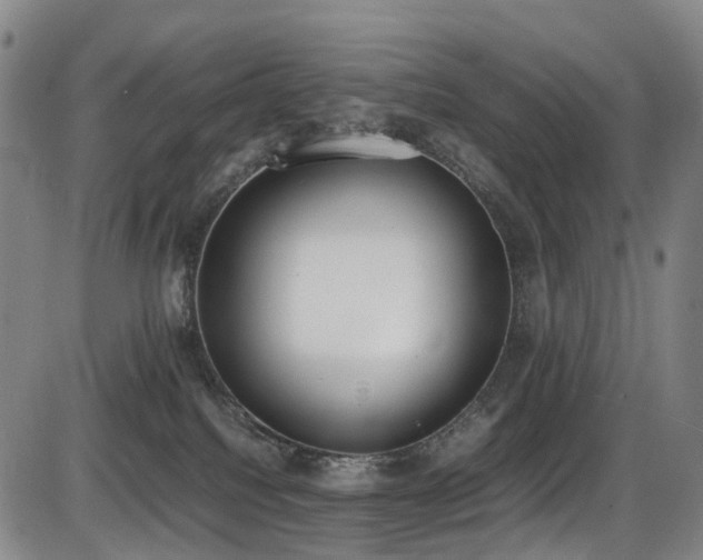 X0000086340088200703301306