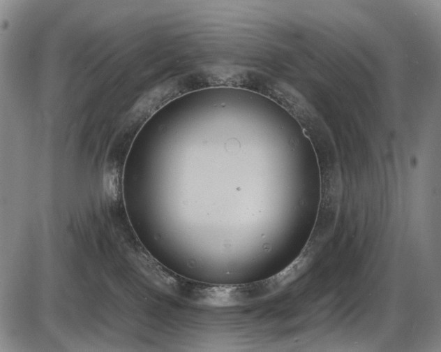 X0000086340090200703301306