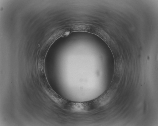 X0000086340091200703301306