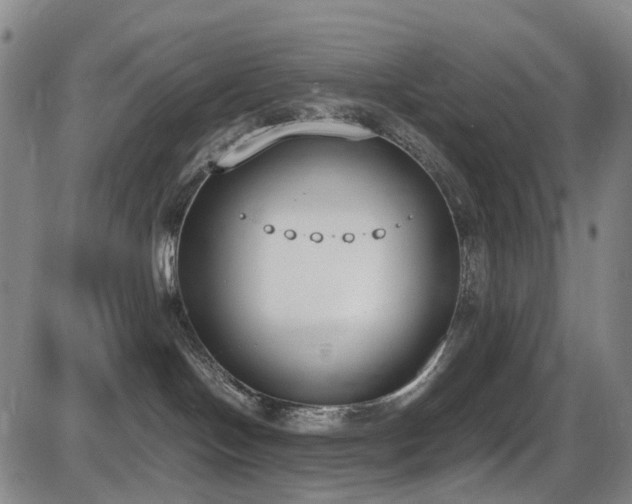 X0000086340094200703301307