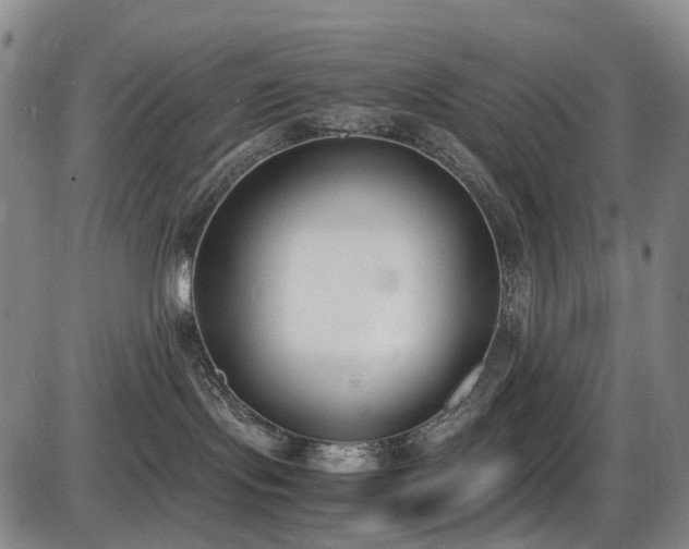 X0000086340095200703301307