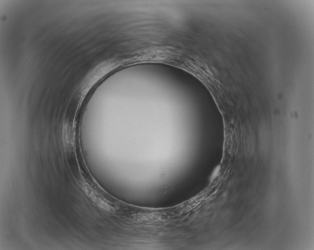 X0000086340100200703301306