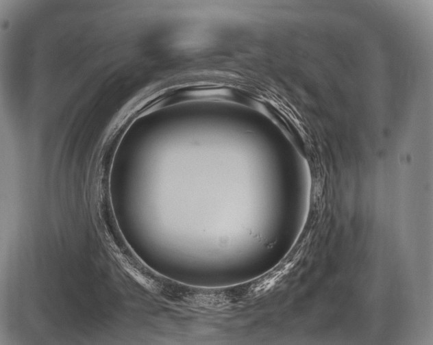 X0000086340101200703301306