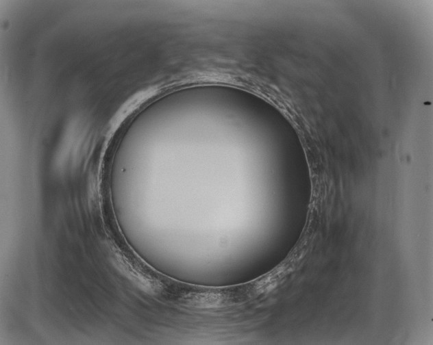 X0000086340104200703301306