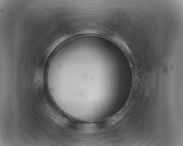 X0000086340108200703301306