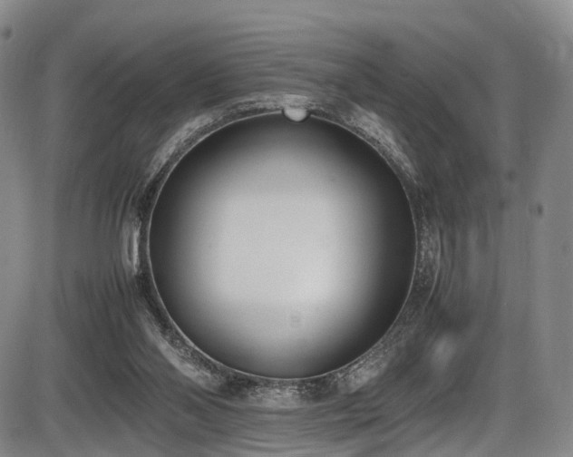 X0000086340110200703301306