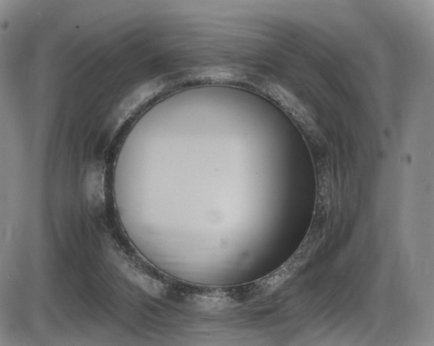 X0000086340112200703301306