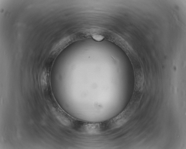 X0000086340126200703301305
