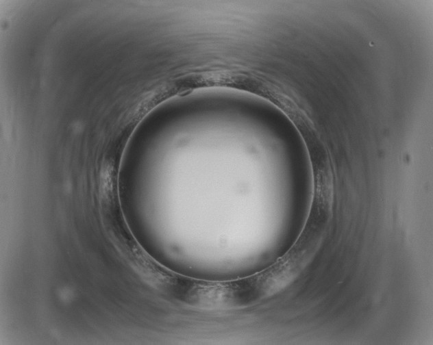 X0000086340127200703301305