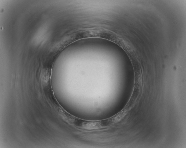 X0000086340129200703301305