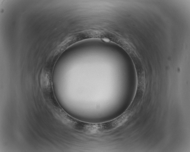 X0000086340131200703301305