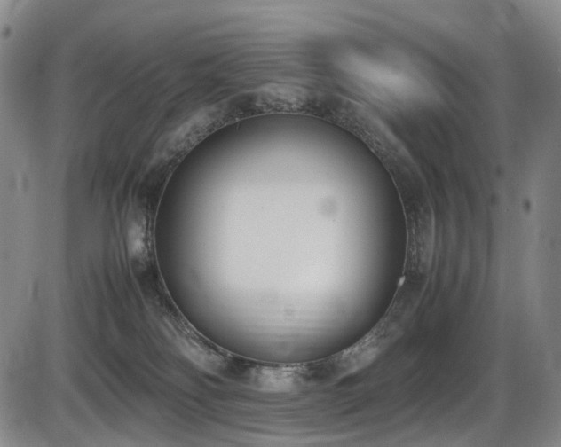 X0000086340134200703301305