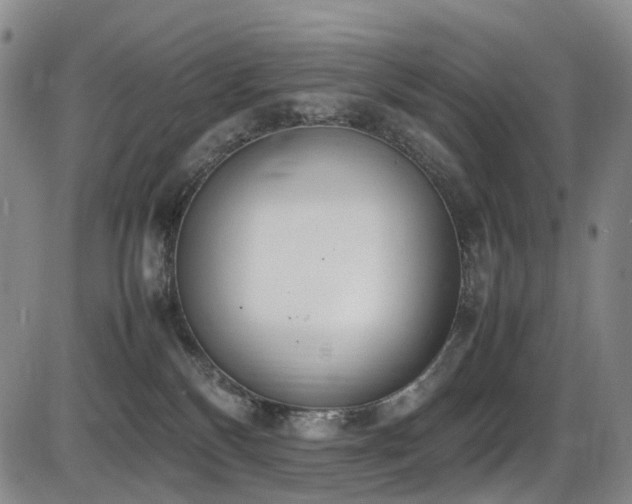 X0000086340136200703301305