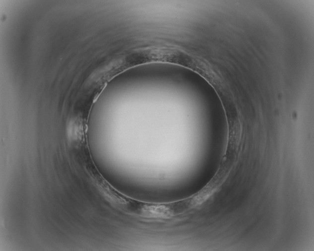 X0000086340137200703301305