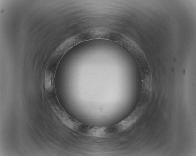 X0000086340138200703301305