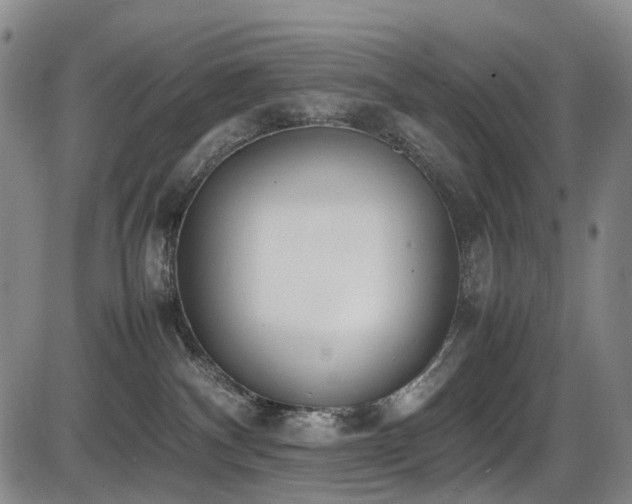 X0000086340140200703301305