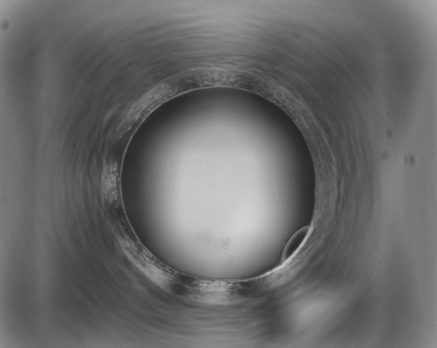 X0000086340144200703301305