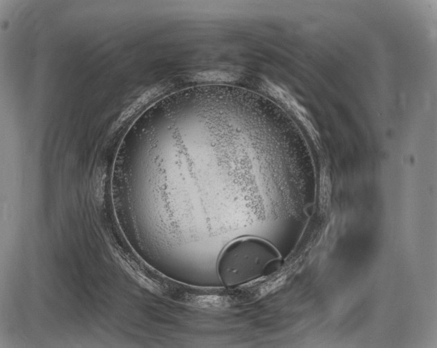 X0000086340153200703301304