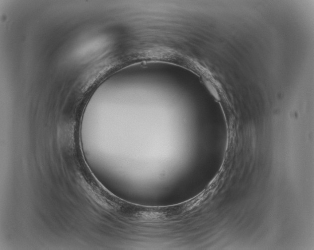 X0000086340154200703301304